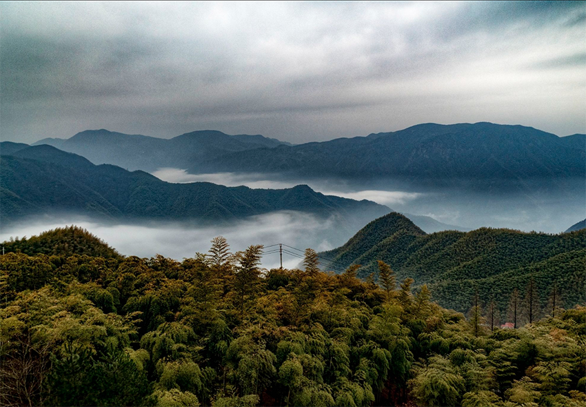 浙江天目山七尖徒步路线1