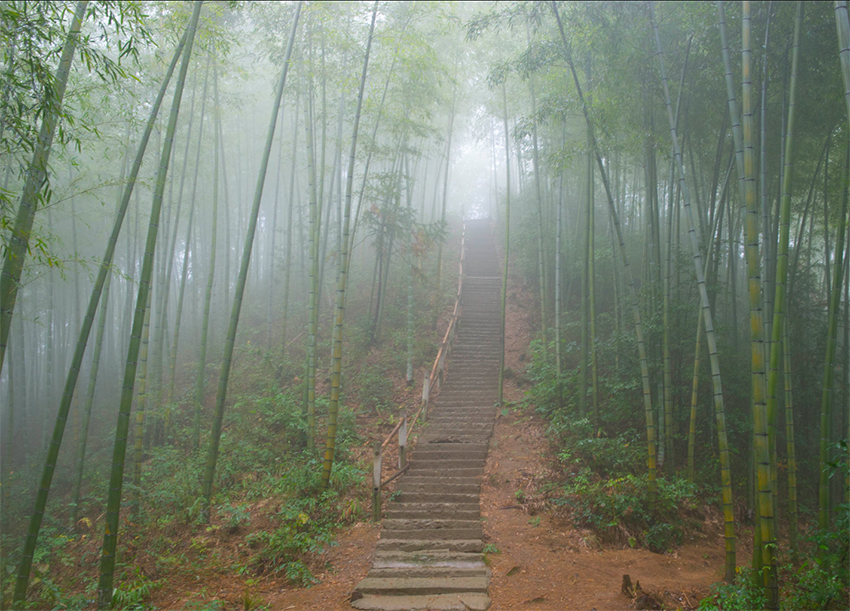 浙江天目山七尖徒步路线5