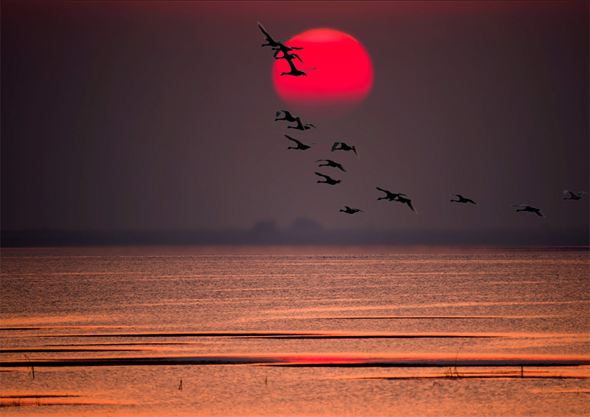 江西鄱阳湖南方越野基地路线2