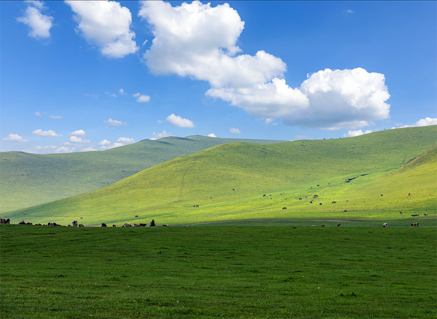 内蒙古扎鲁特旗巴哈路线3