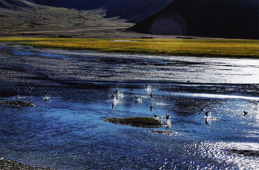 西藏日土县班公错路线2