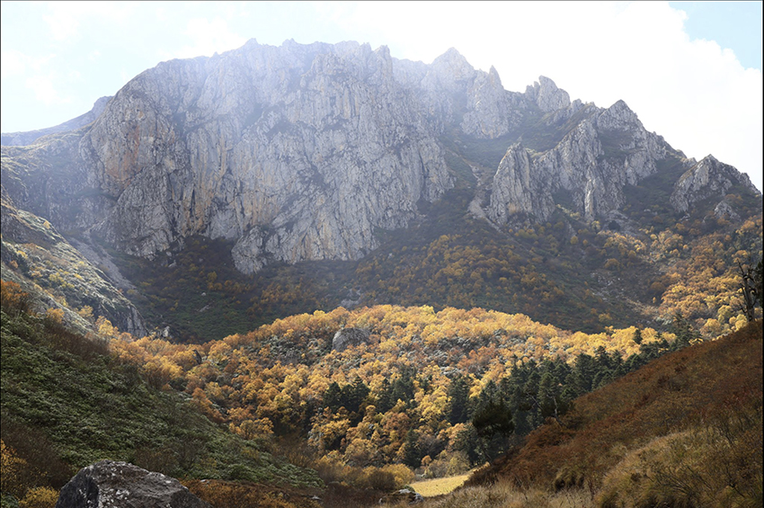 甘肃宕昌县车拉草原自驾路线4