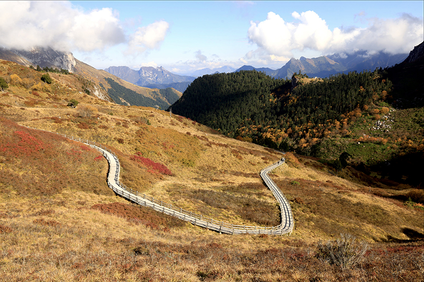 甘肃宕昌县车拉草原自驾路线2