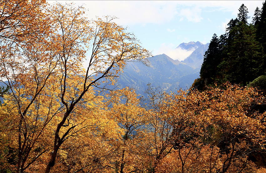 甘肃宕昌县车拉草原自驾路线3